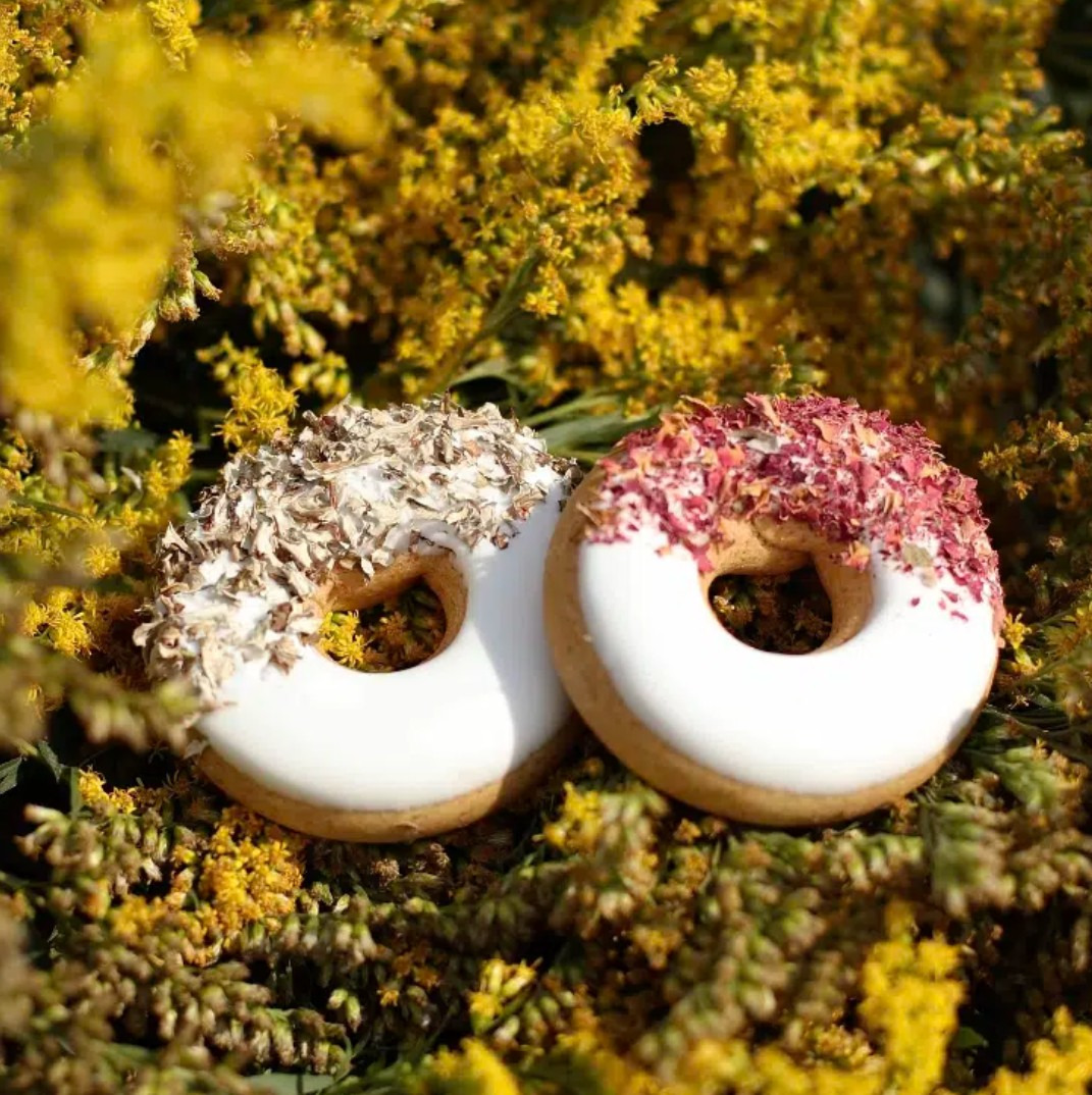 Candy Horse Donuts Wild Rose Icelandic Lichen