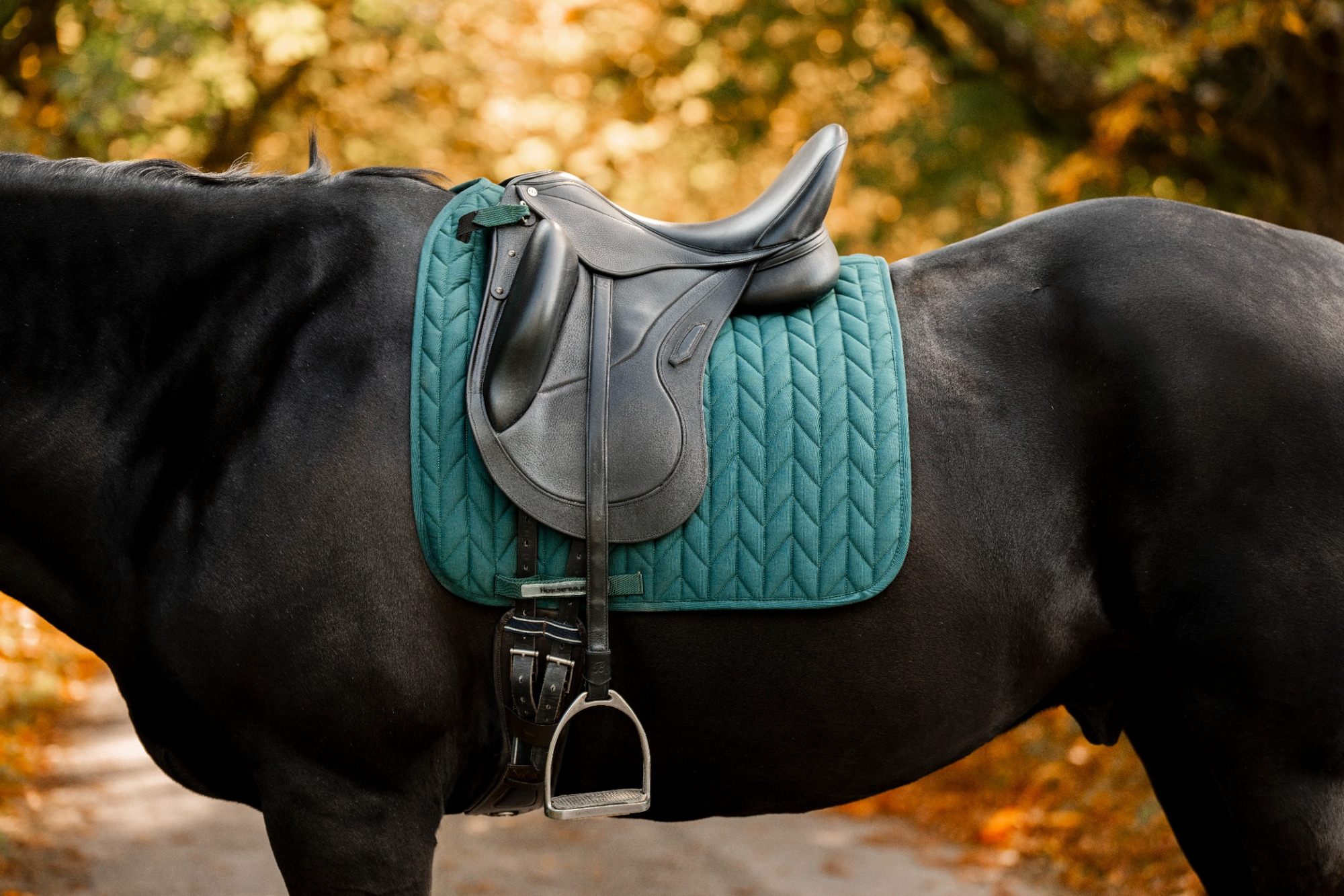Horseware Dressurschabracke