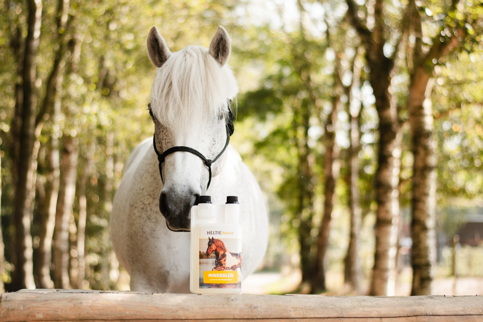 HELTIE horse Minerals