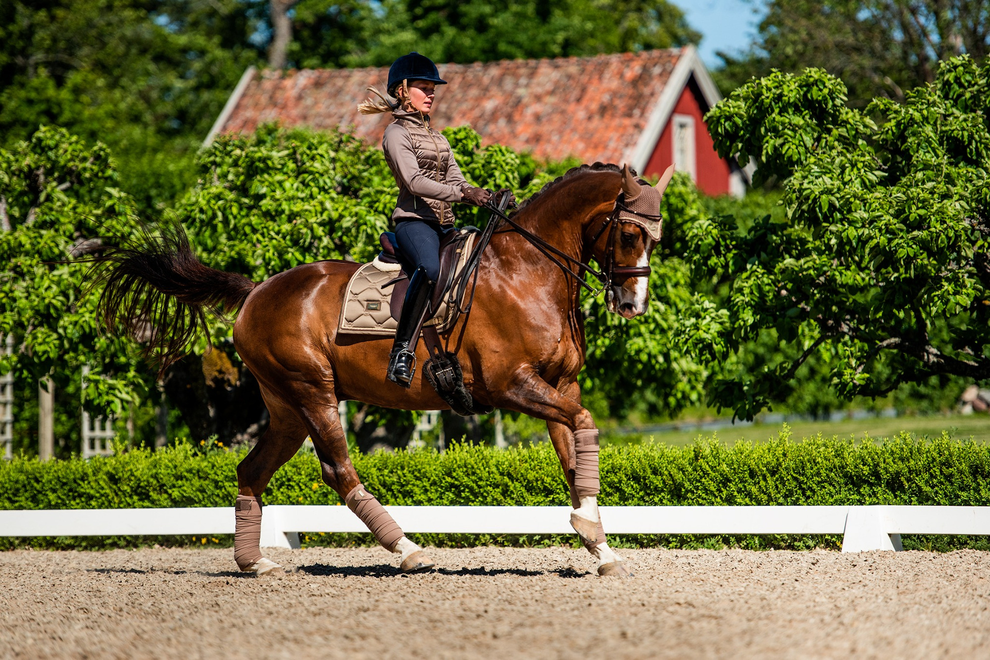 Equestrian Stockholm Champagne Fleece Bandages