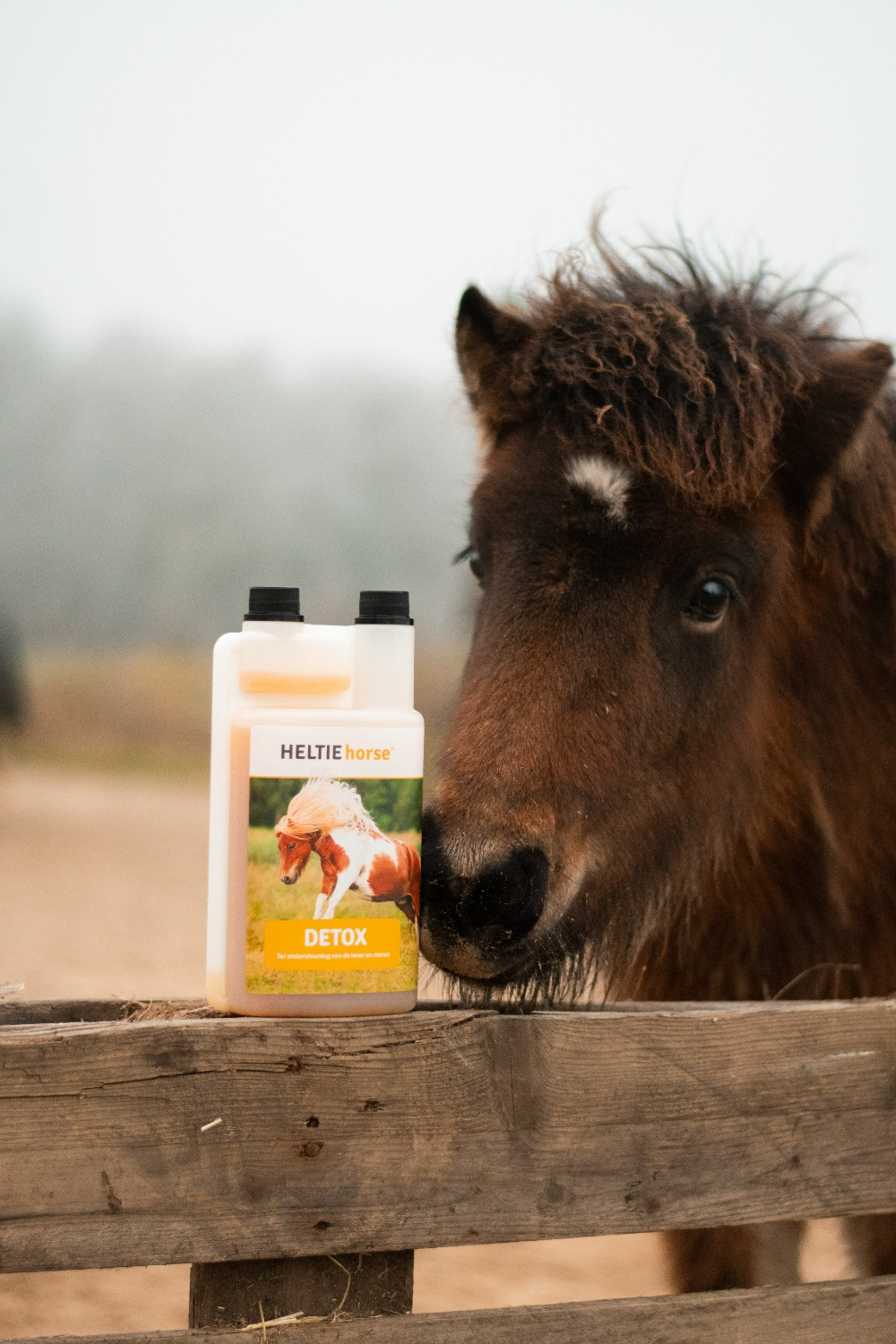 HELTIE Horse Detox