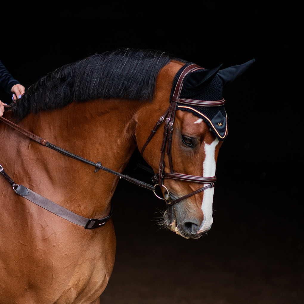 Equestrian Stockholm SS'23 Black Edition Gold Ear Net