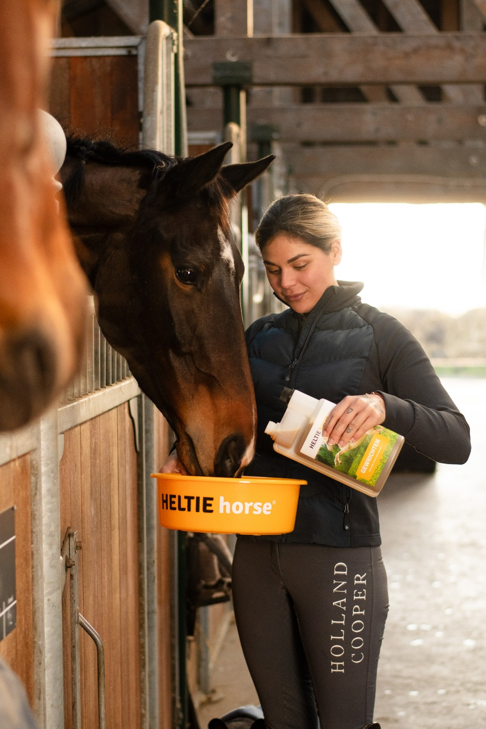 HELTIE horse Joints