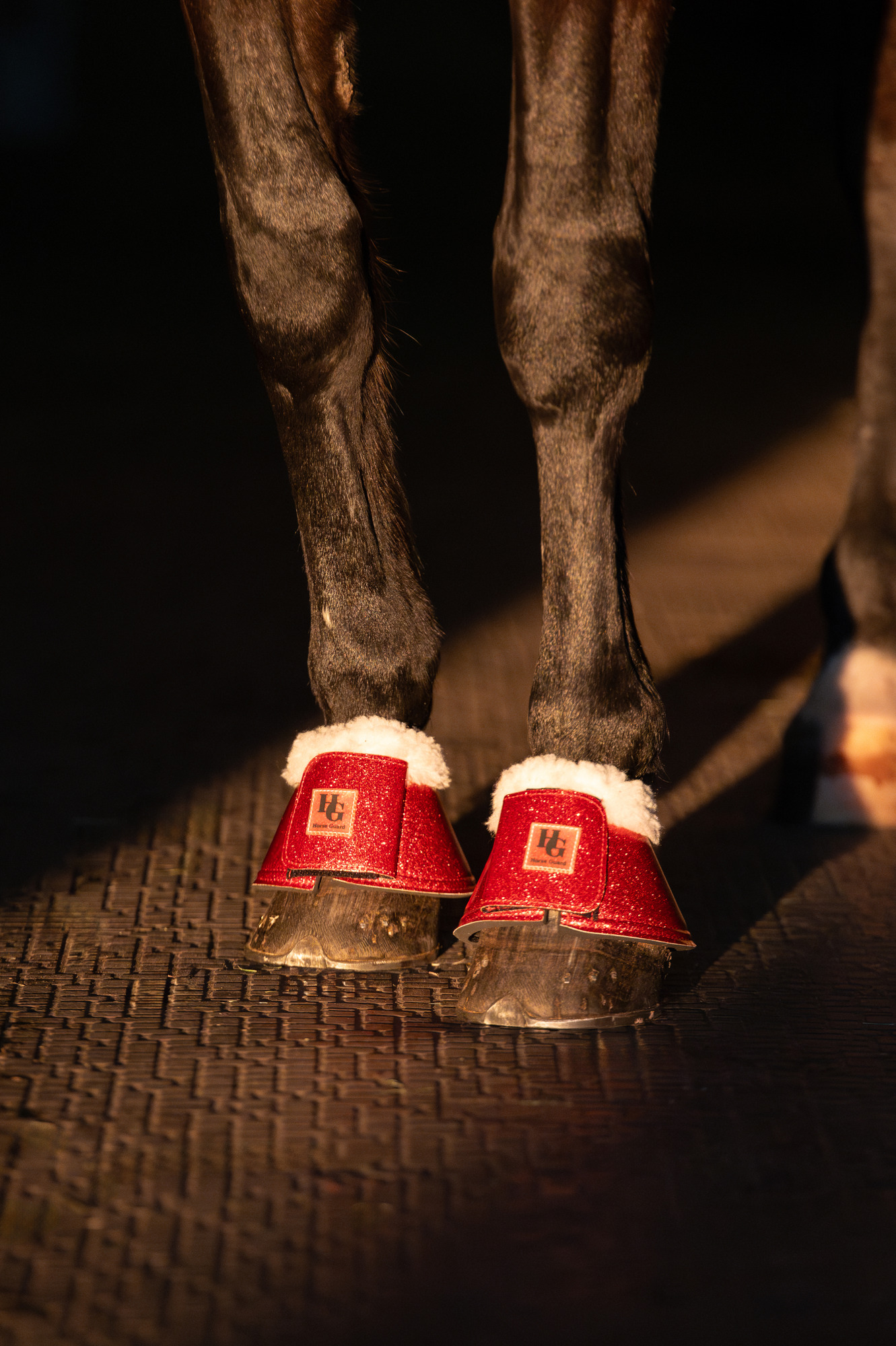 HorseGuard FW26 Hufglocken Glitzer Lulu