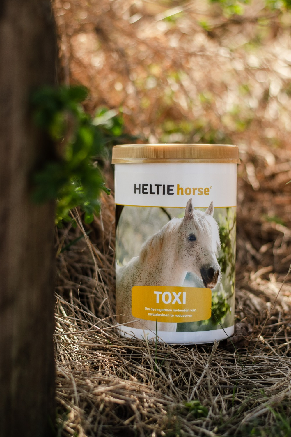 HELTIE Toxi Horse
