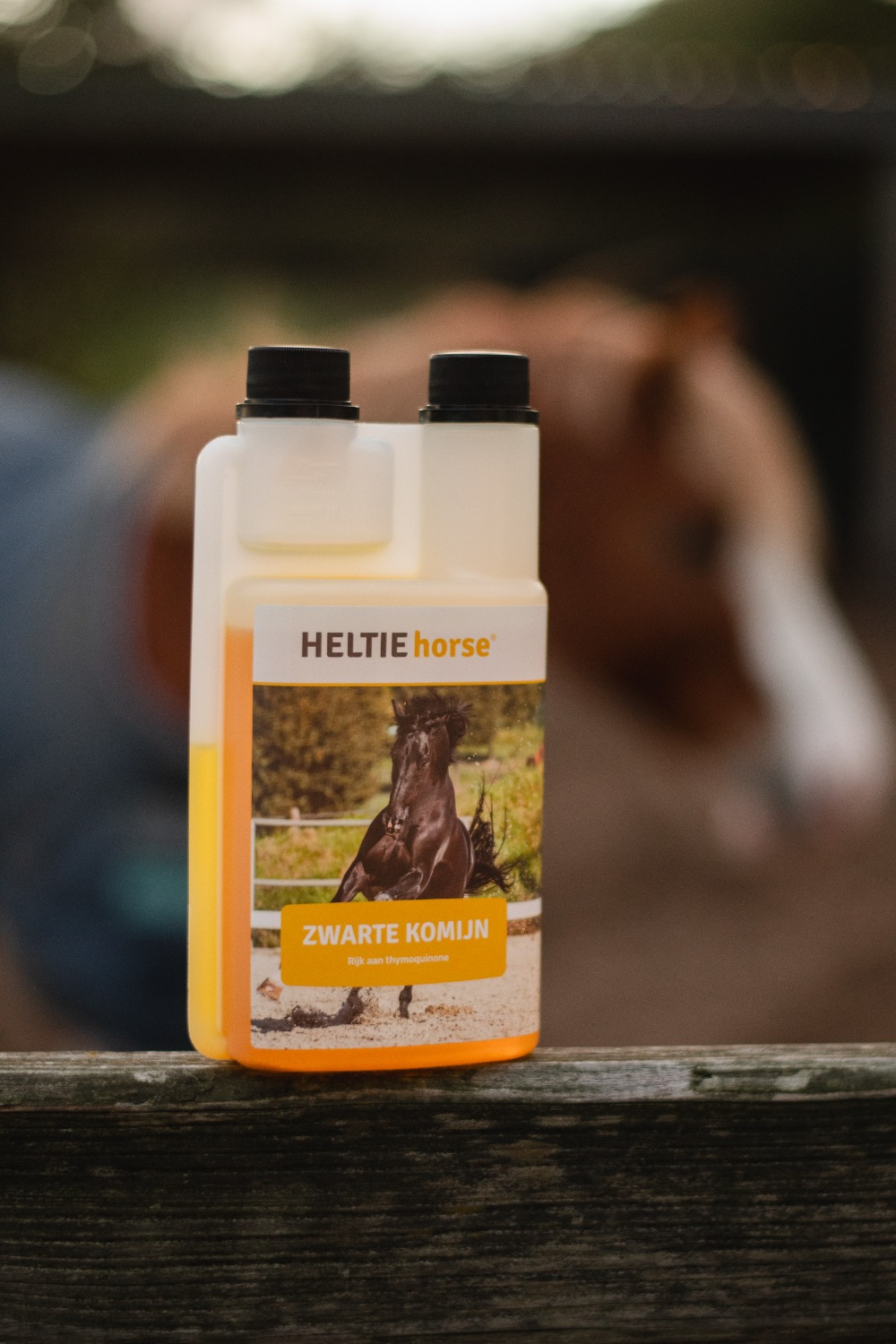 HELTIE horse Black Cumin