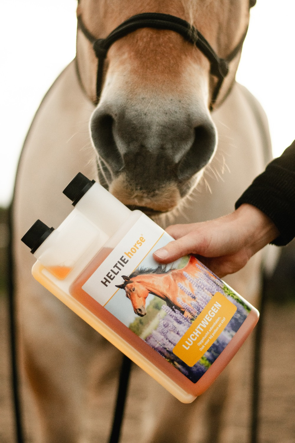HELTIE horse Respiratory