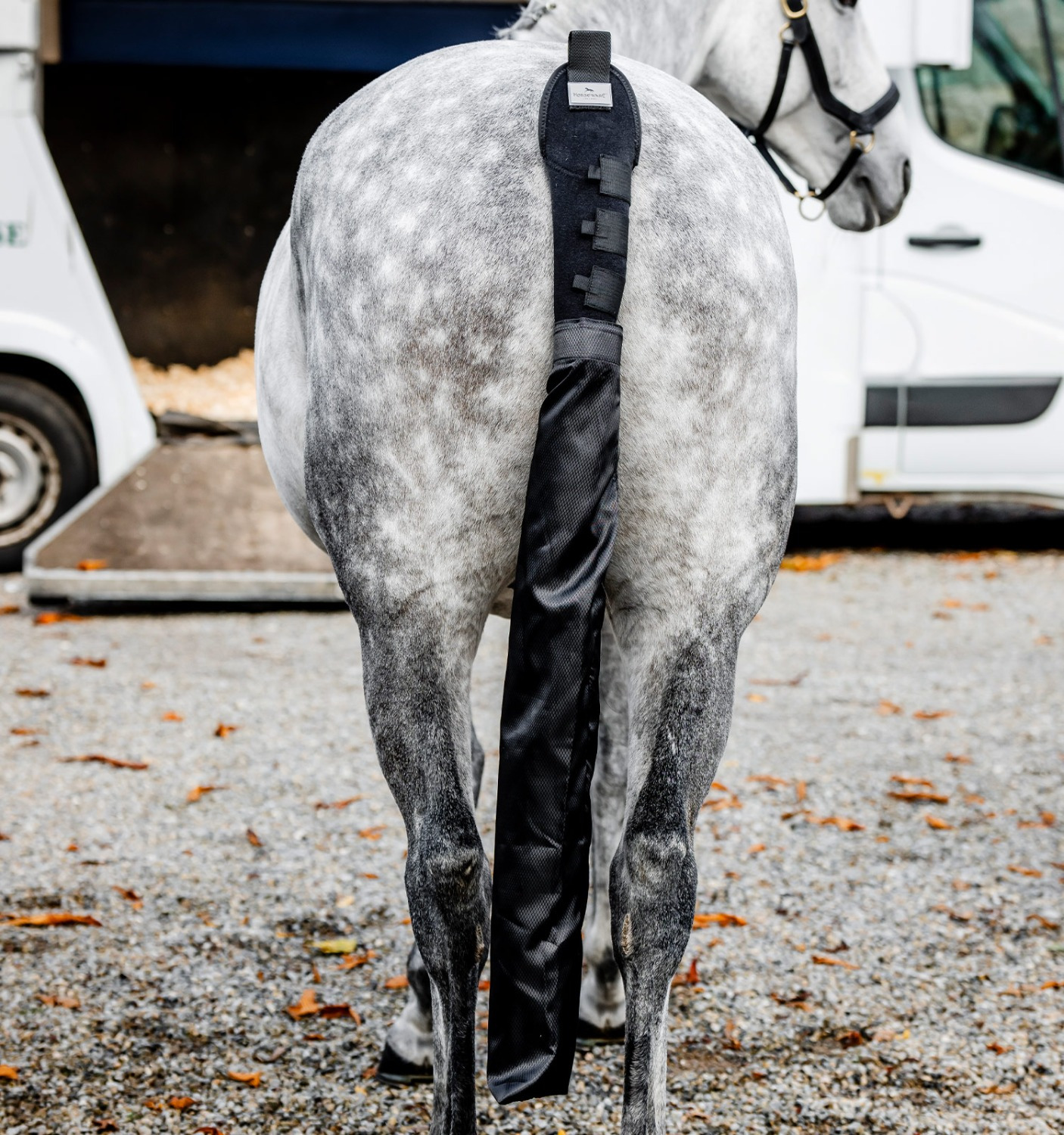 Horseware Schweifschutz und Tasche
