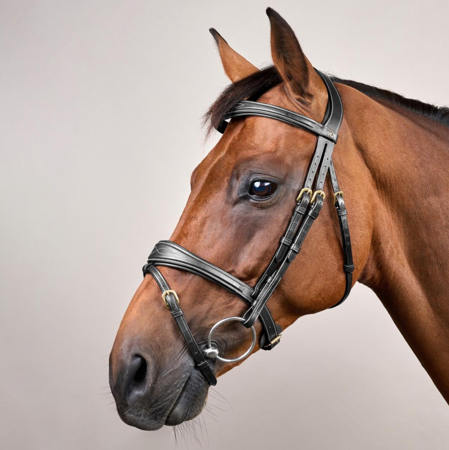Dyon Anatomisch Gecombineerd Hoofdstel D Collection