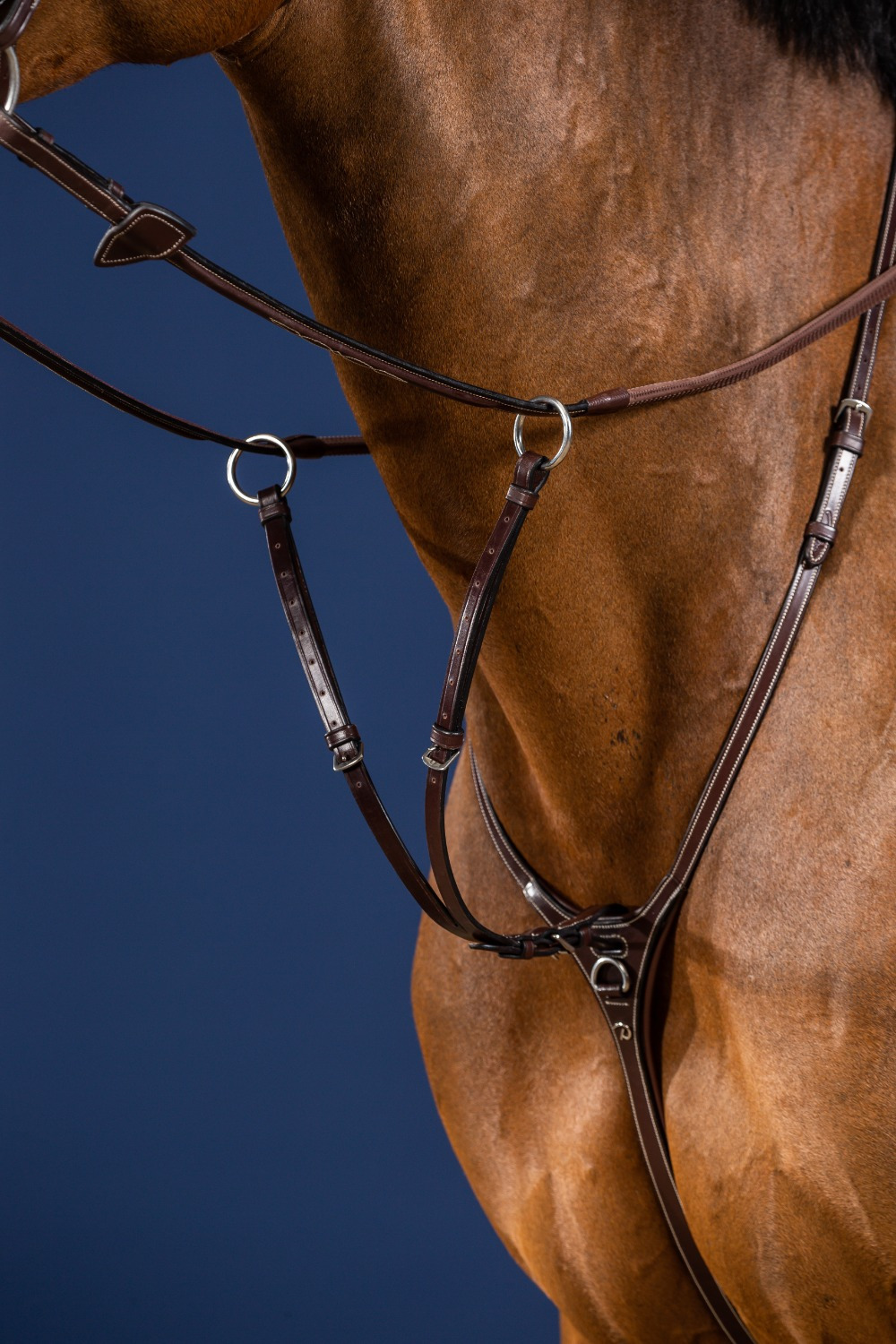 Dyon Martingalgabel (Ringmartingal) US Jumping Collection