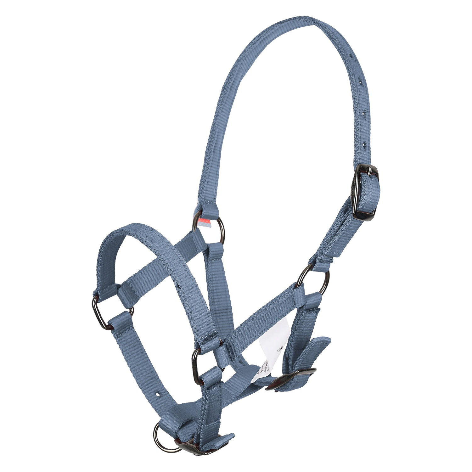 Imperial Riding SS25 Foal Halter