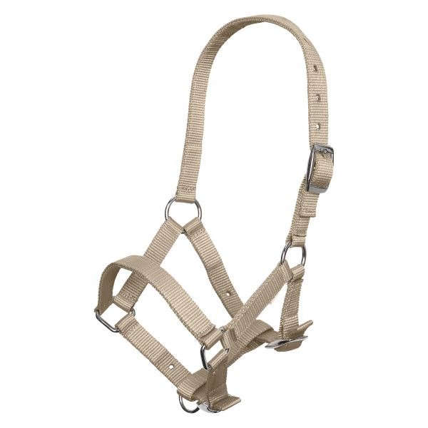 Imperial Riding SS26 Halter foal IRH