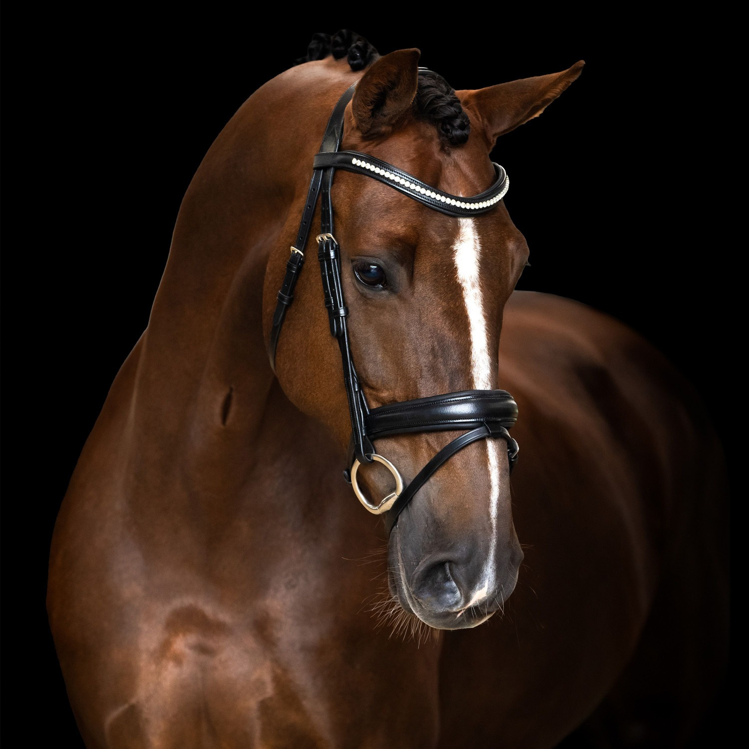 Imperial Riding Snaffle Bridle IRH simple combined noseband