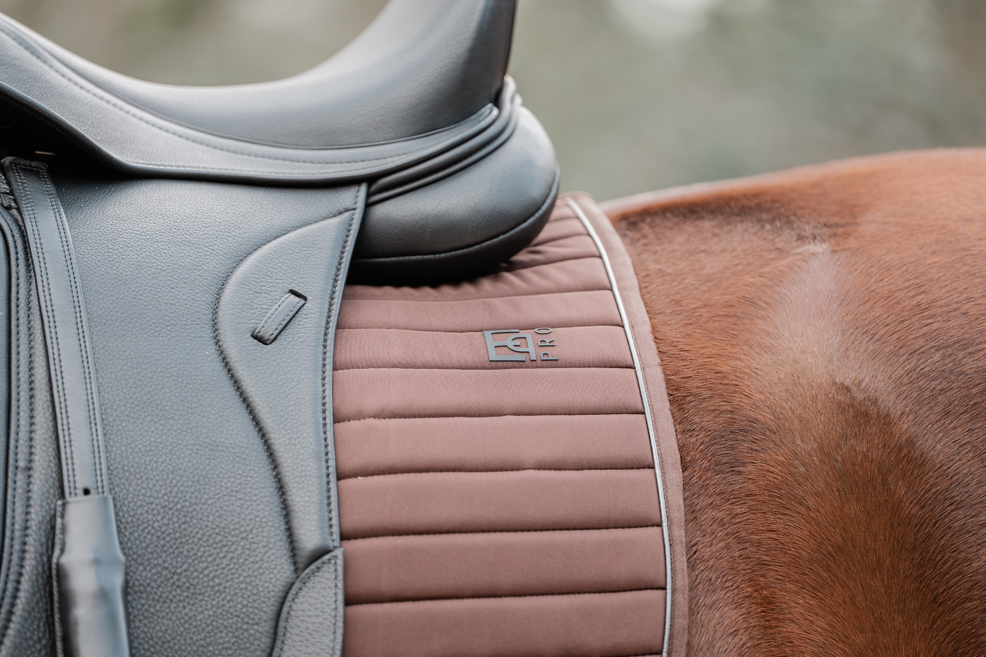 EQPRO FW26 Softshell Dressage Saddle Pad