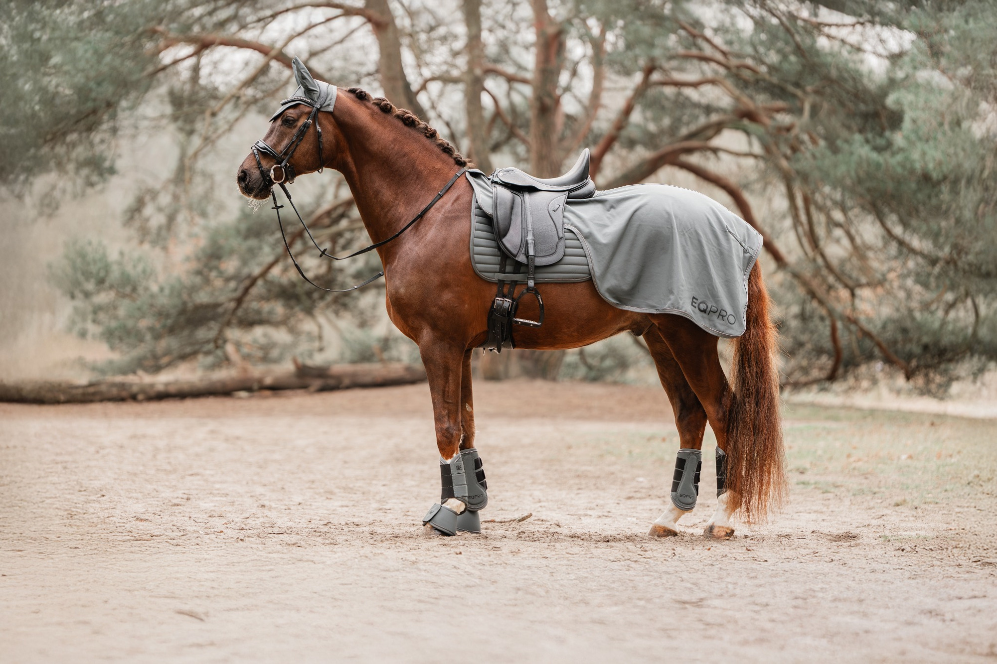 EQPRO FW26 Uitrijdeken Softshell