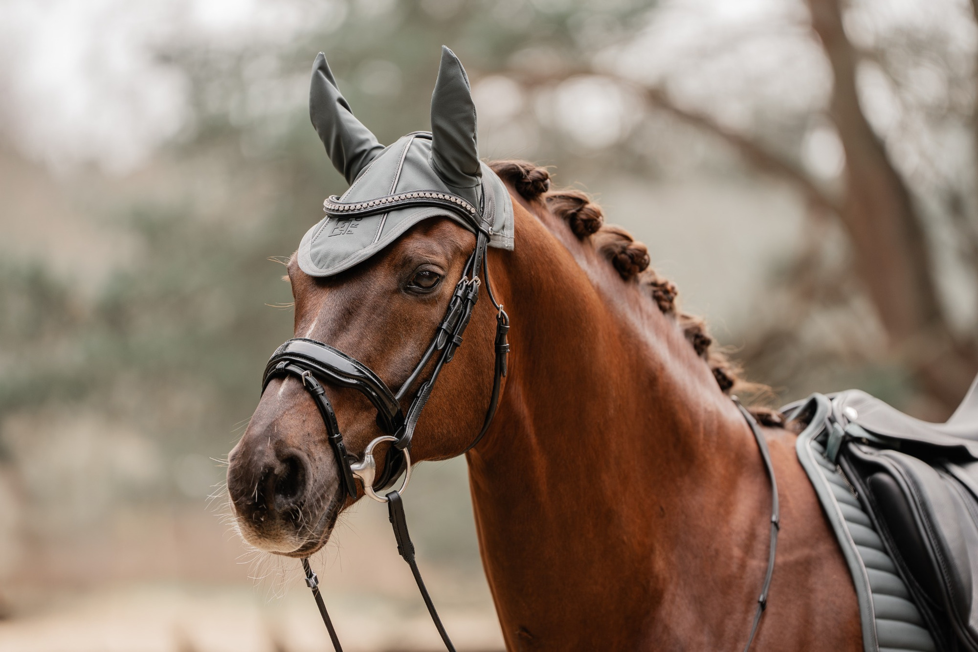 EQPRO FW26 Oornetje Softshell
