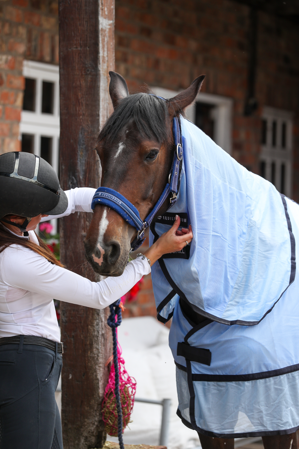 Equilibrium Quick Chill Blanket Neck V26