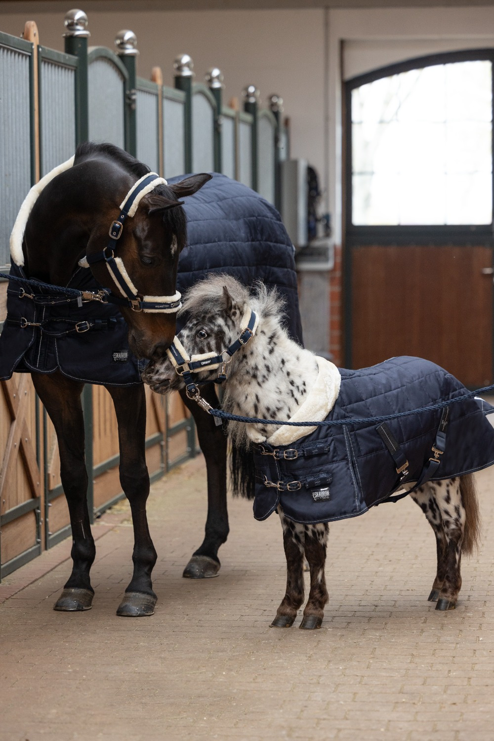 Eskadron Stable Rug Zeta Shetty 200gr