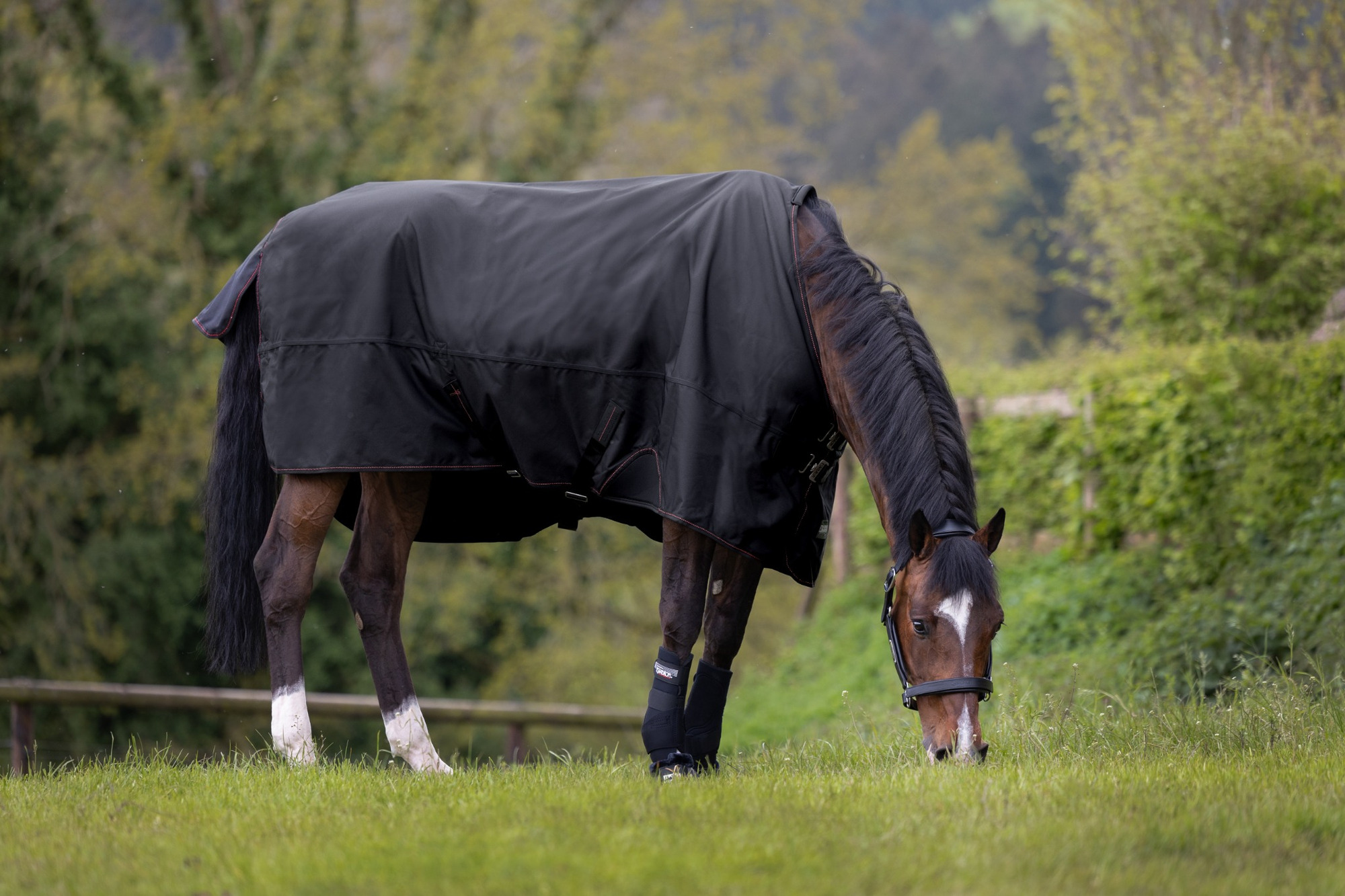 Eskadron Turnout Rug Gamma
