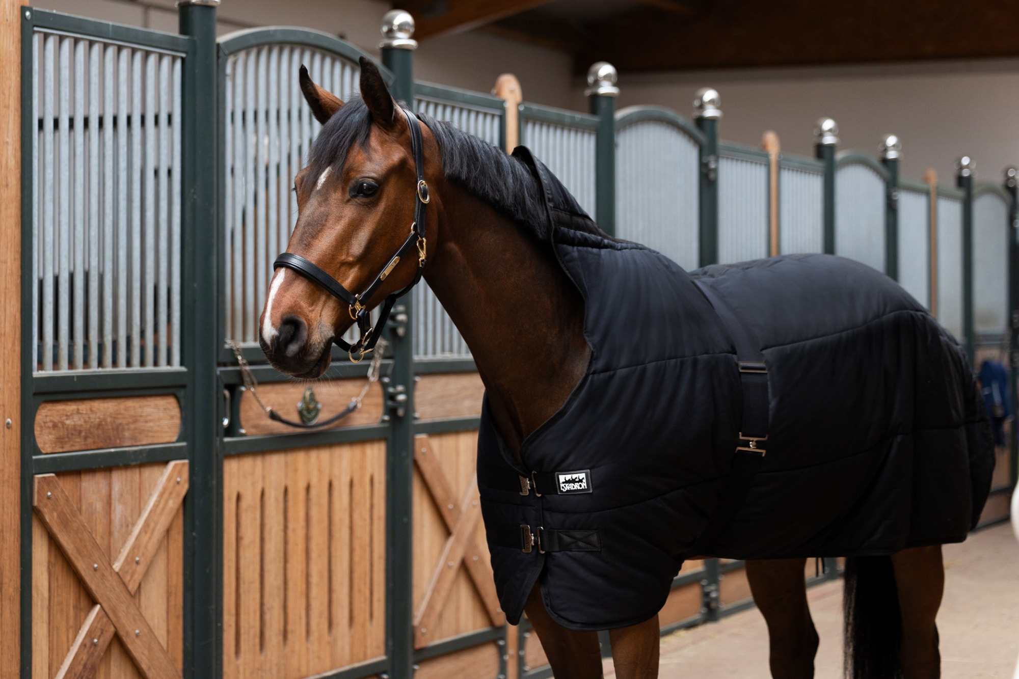 Eskadron Under Rug Thermo Cotton 240g