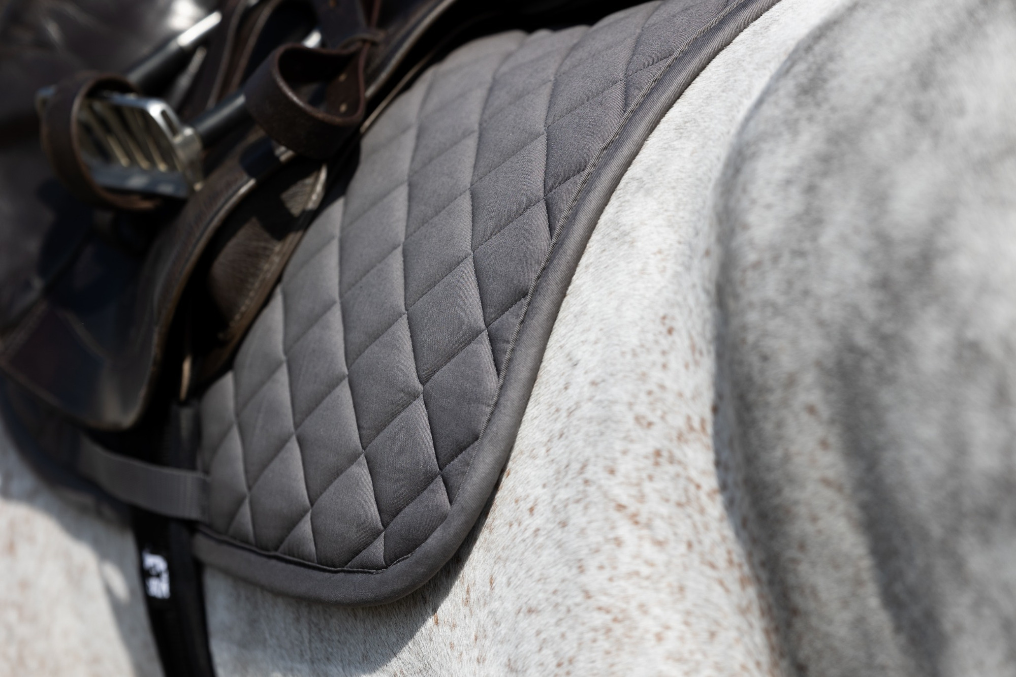 Eskadron Matrix Saddle Pad