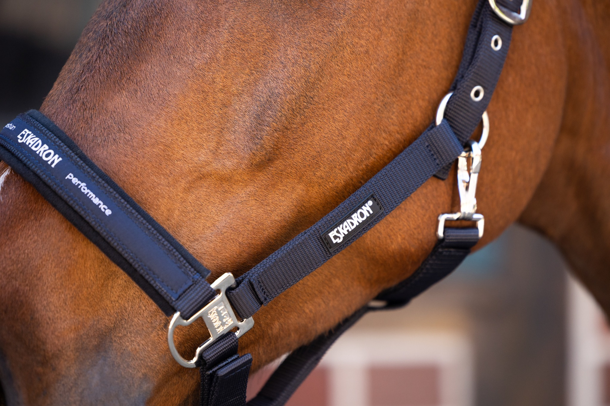 Eskadron Halster Pin Buckle