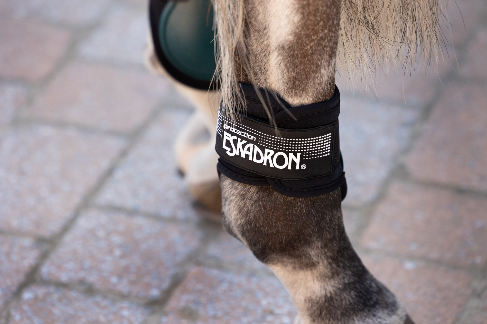 Eskadron Basics Brushing Boots