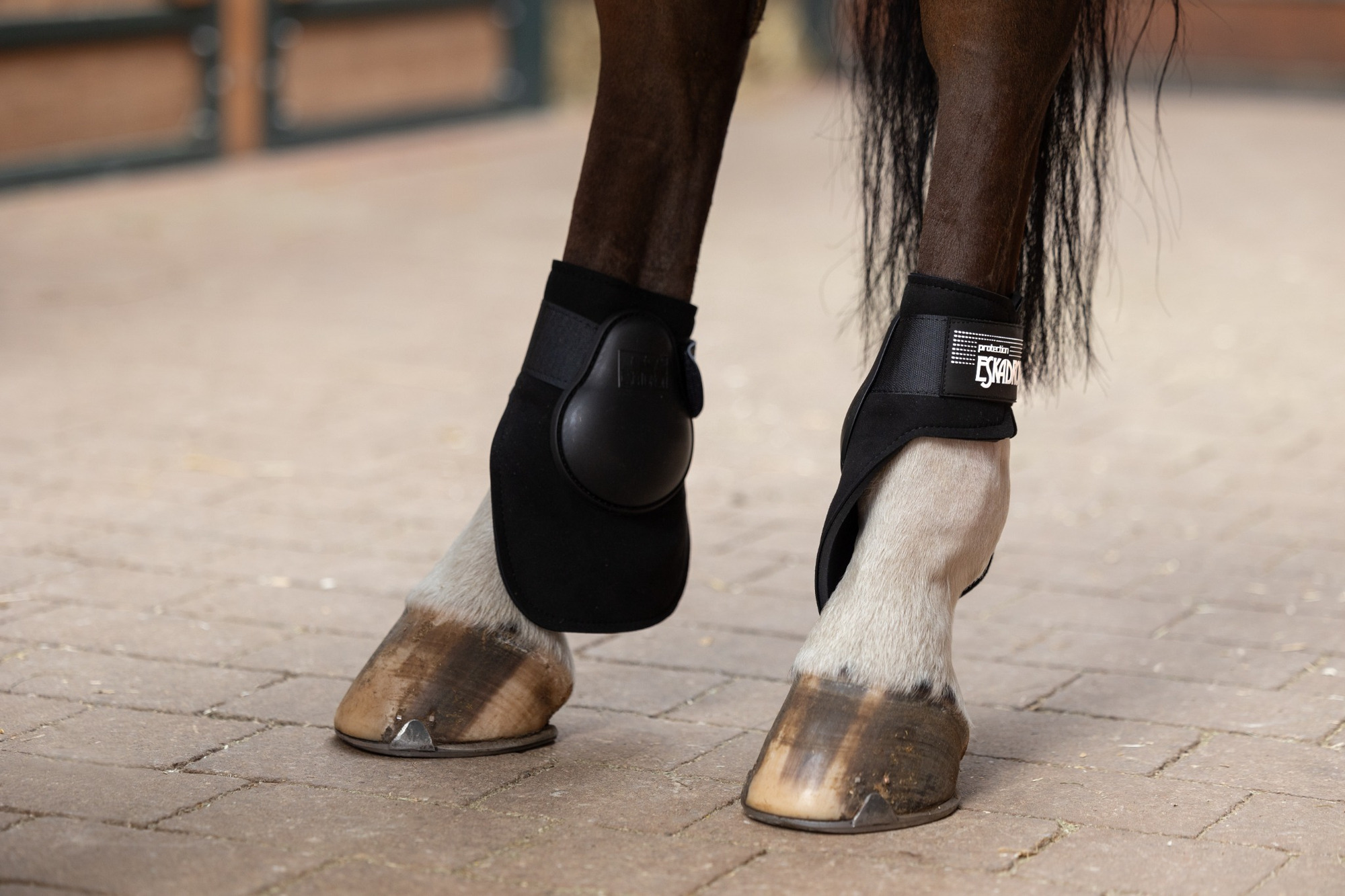 Eskadron Kogelbeschermers Speciaal