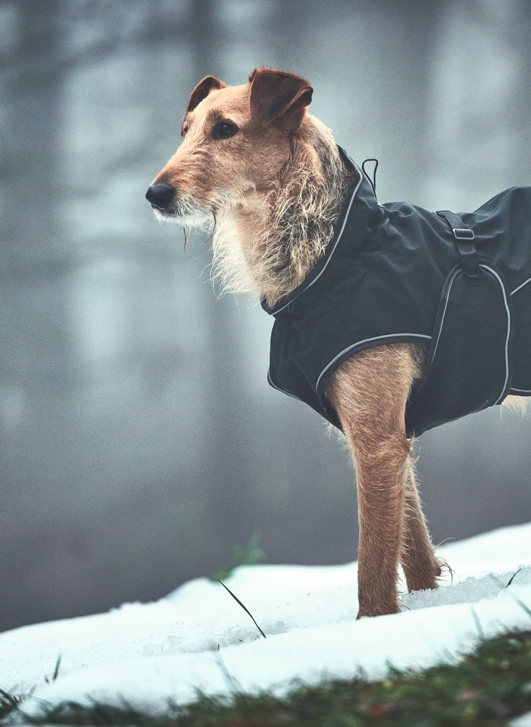 Eskadron x Hunter Dog Blanket VARIO WINTER