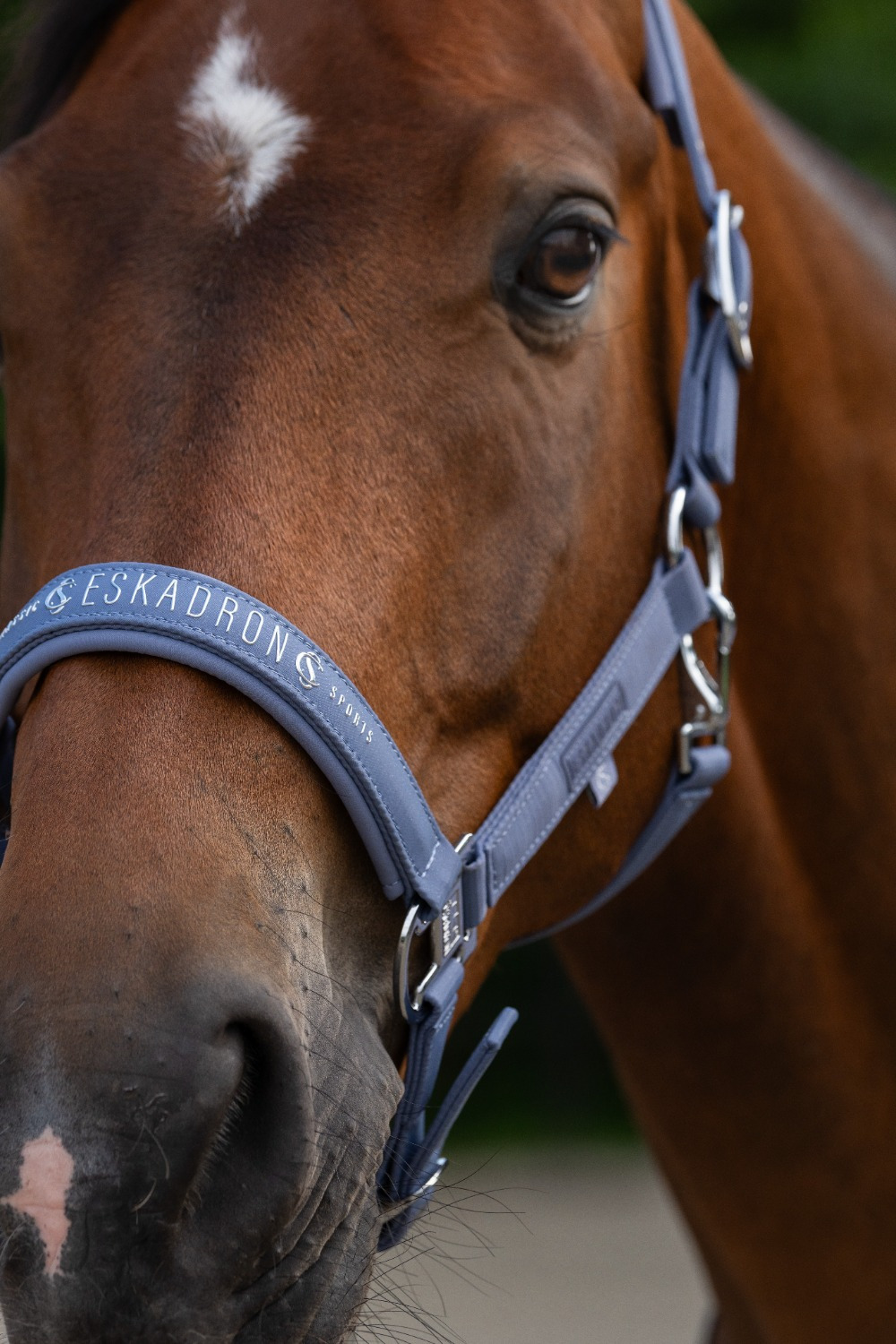 Eskadron SS26 Classic Halter SPARKLE DOUBLE PIN