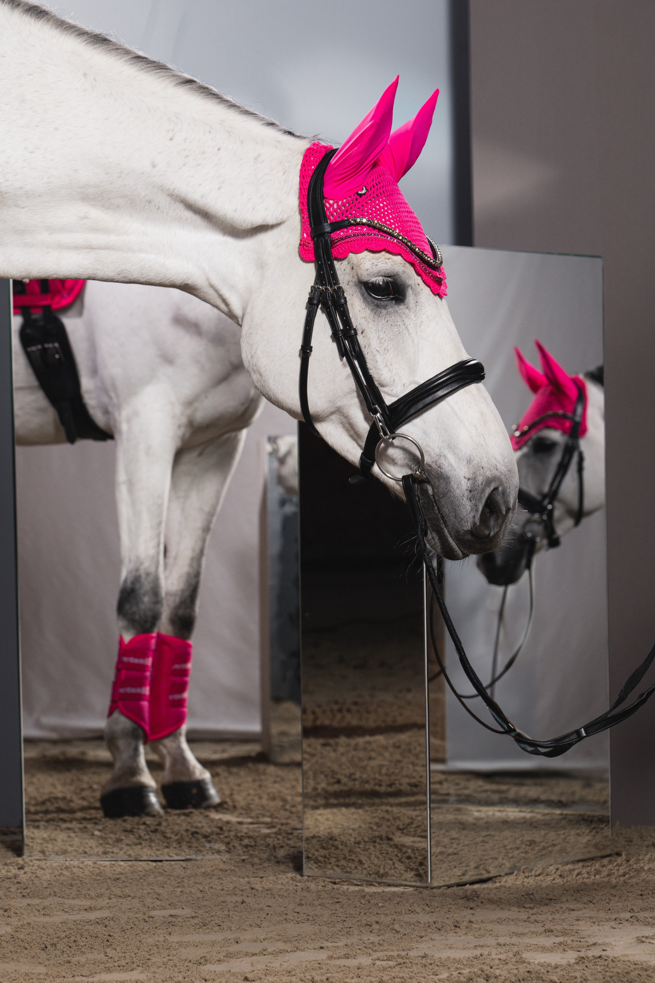 Eskadron FW26 Dynamic Ear Net Crystal