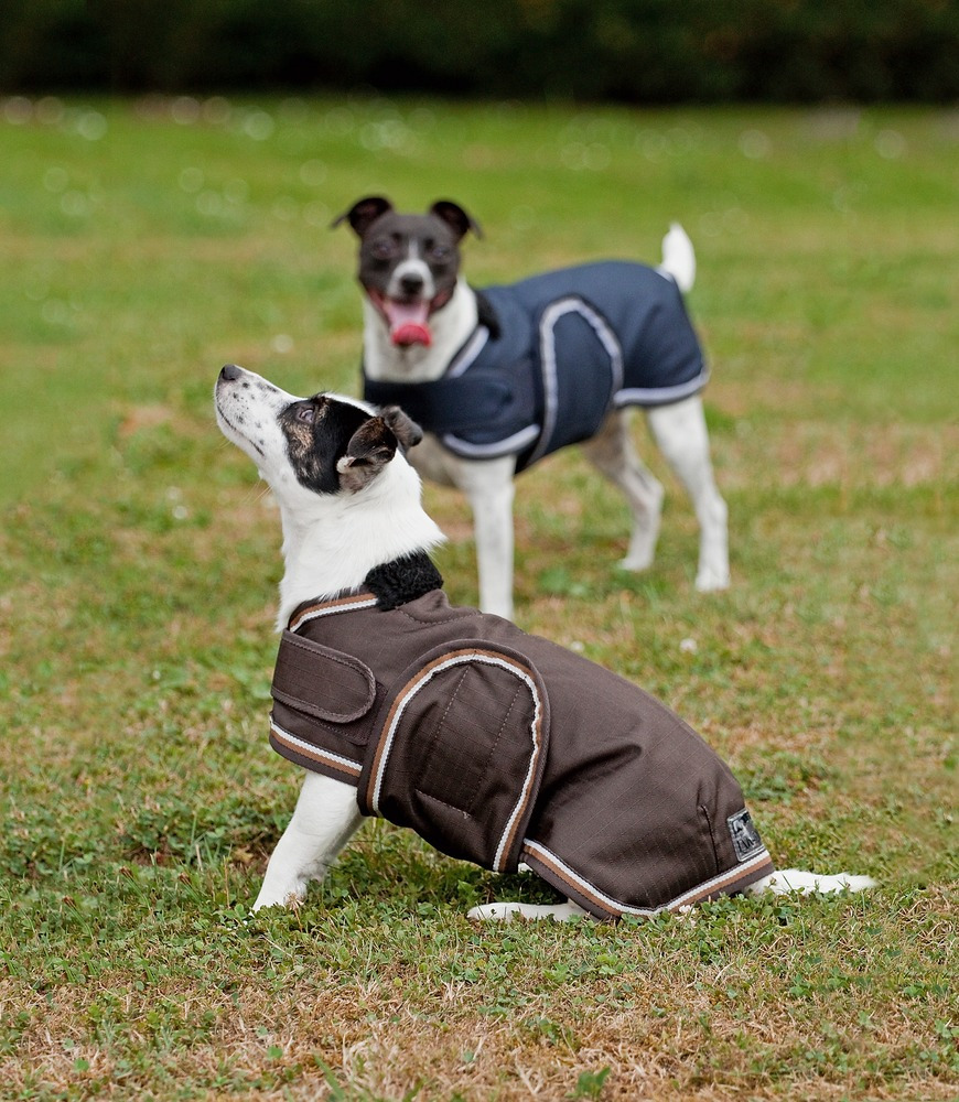 Eskadron Ripstop Dog Blanket