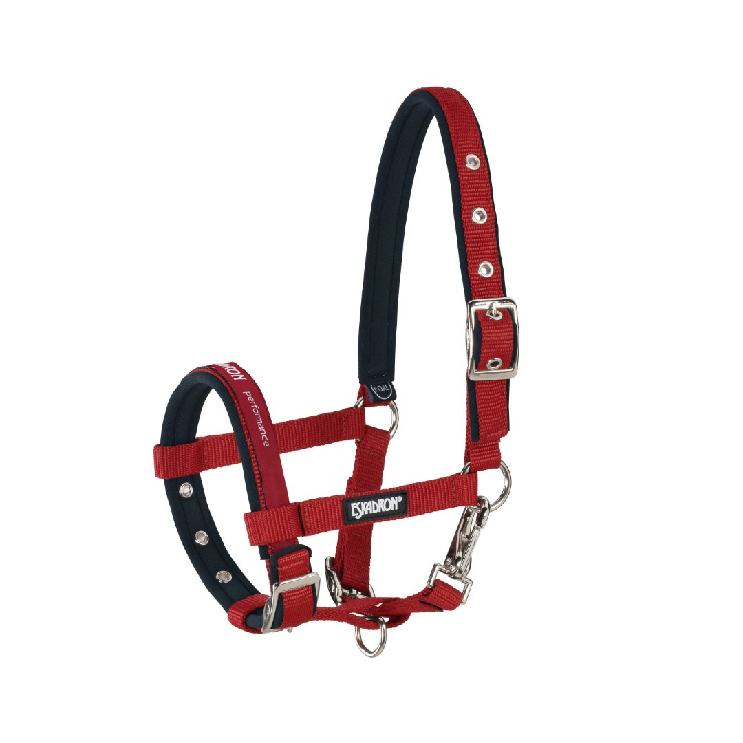 Eskadron Foal Halter