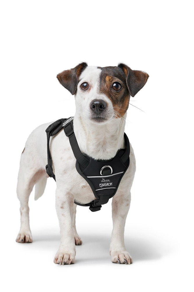 Eskadron x Hunter Dog Harness MOTION REFLECT