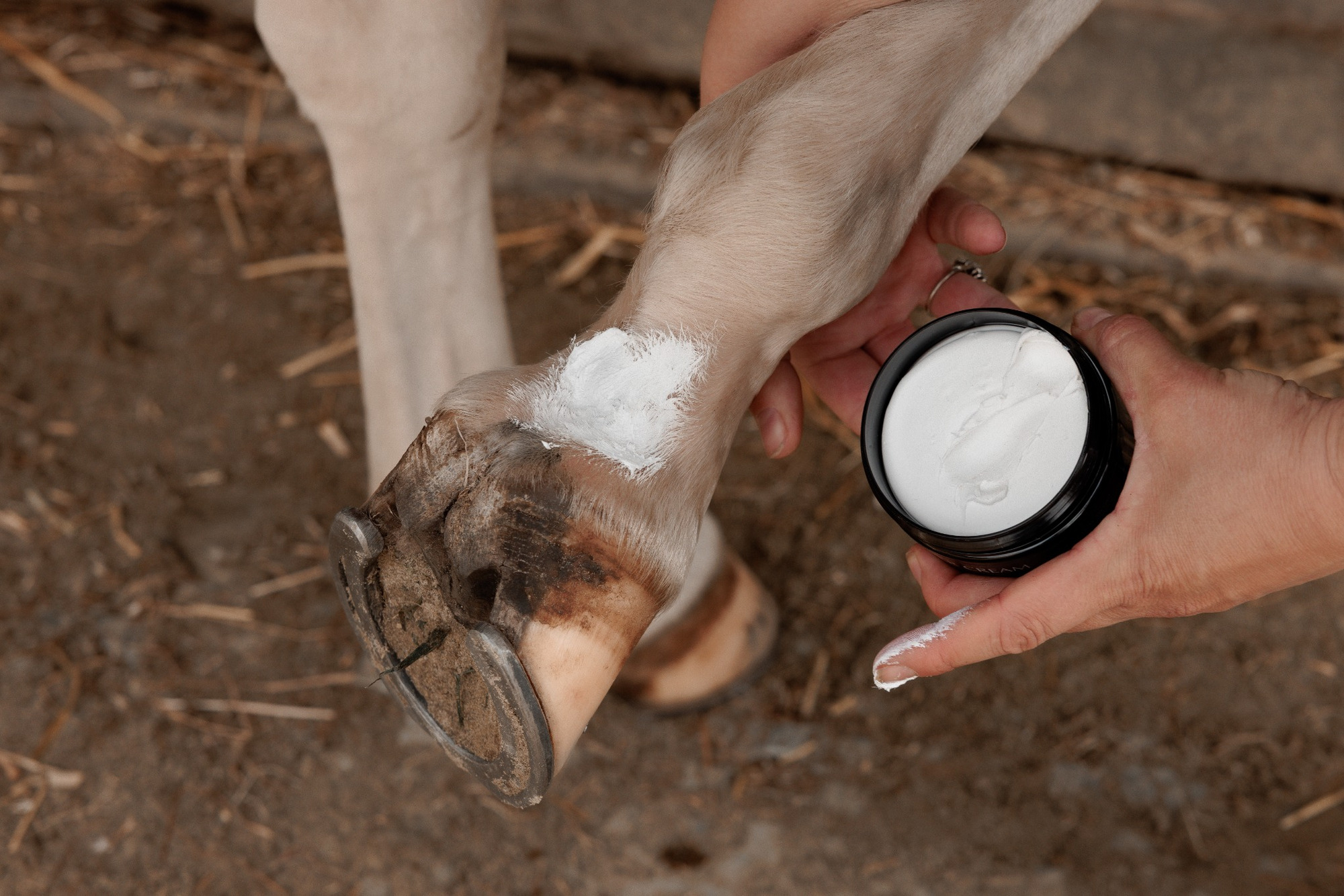Grooming Deluxe Mud Fever Cream Plus
