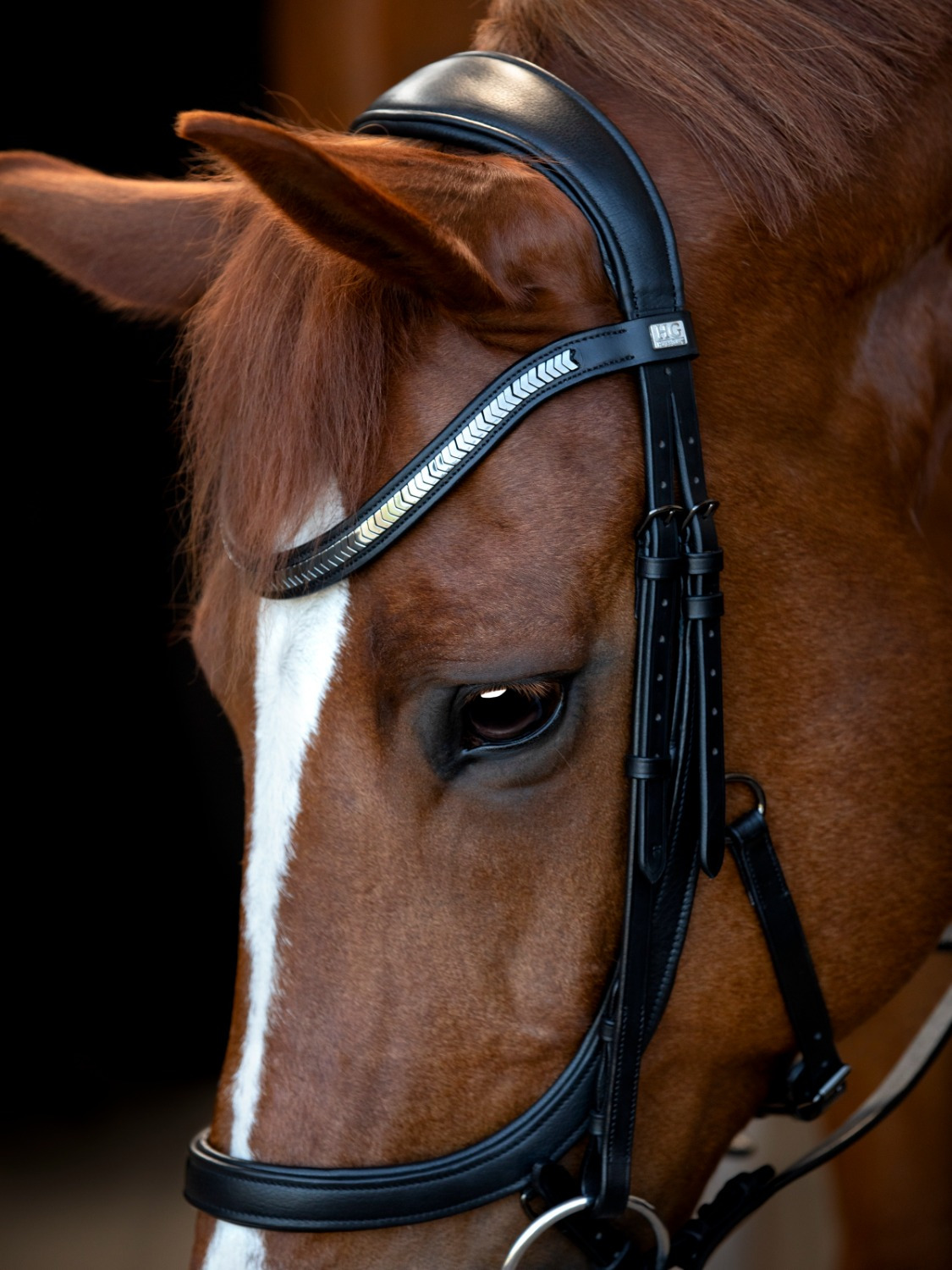 HorseGuard Anatomisches Zaumzeug Tine