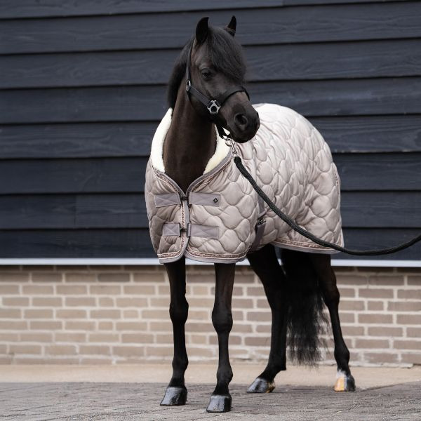 Imperial Riding FW26 Show Rug IRHBandit