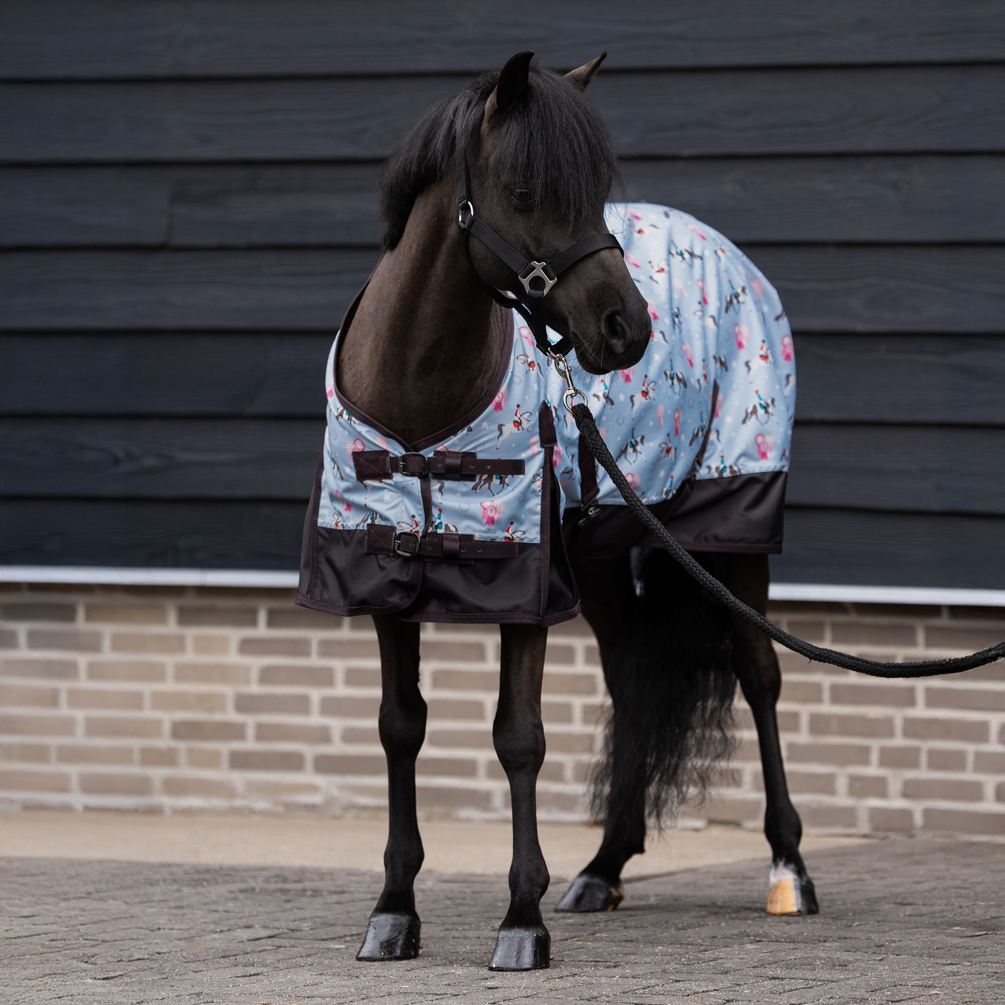 Imperial Riding FW26 Outdoor Rug IRHLittle Champion AOP 100gr