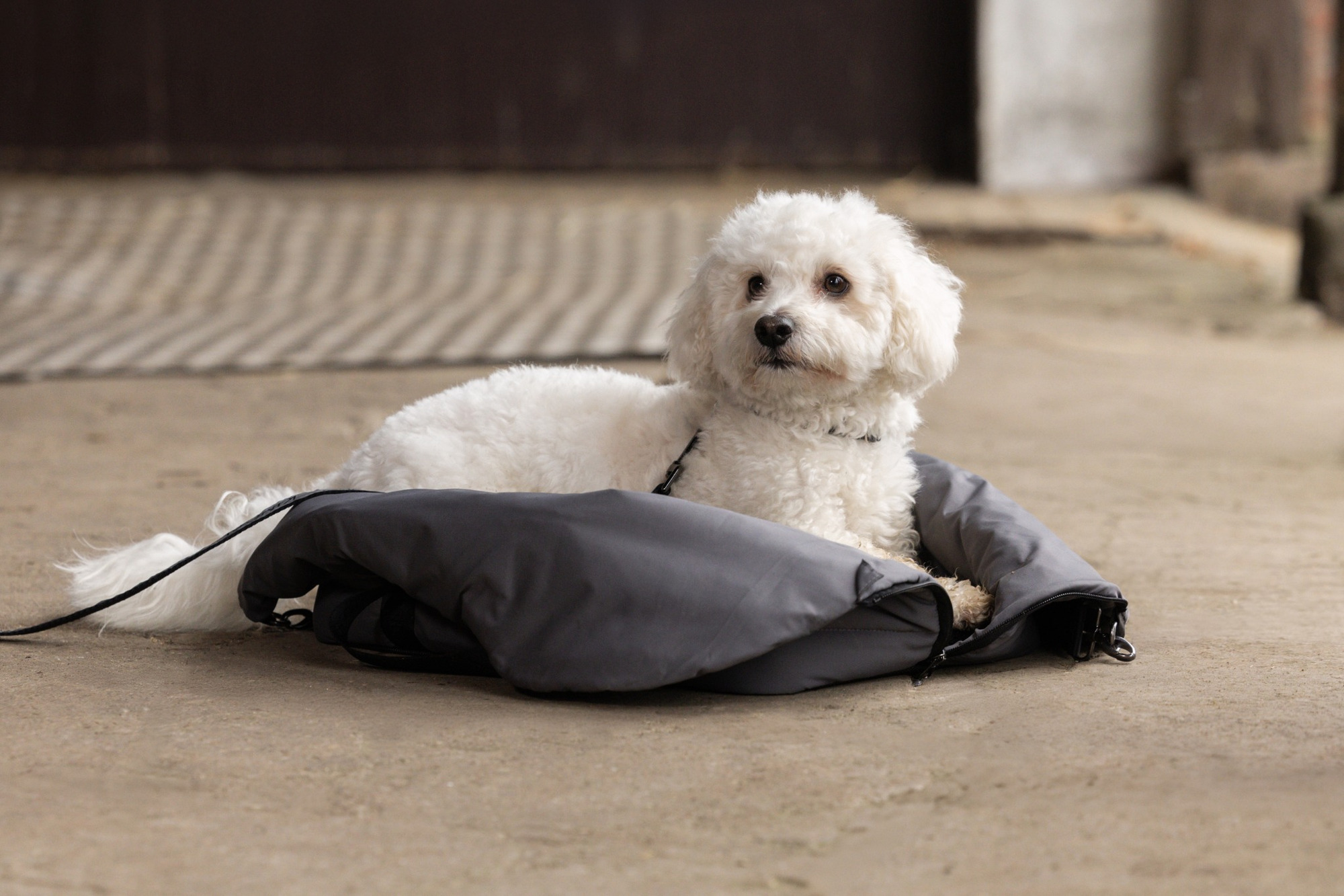 Kingsland FW25 Macey Dog Blanket Bag
