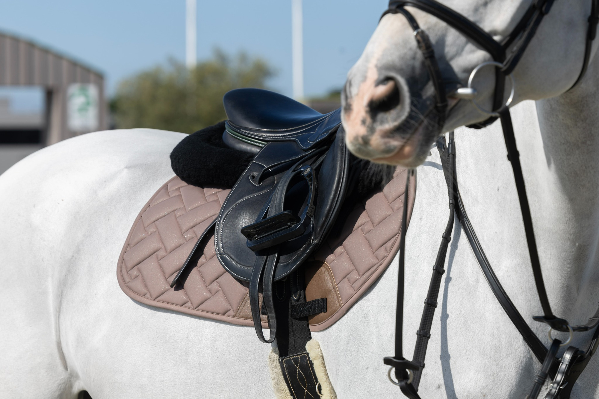 Kingsland SS26 KLLexie Jumping Saddle Pad