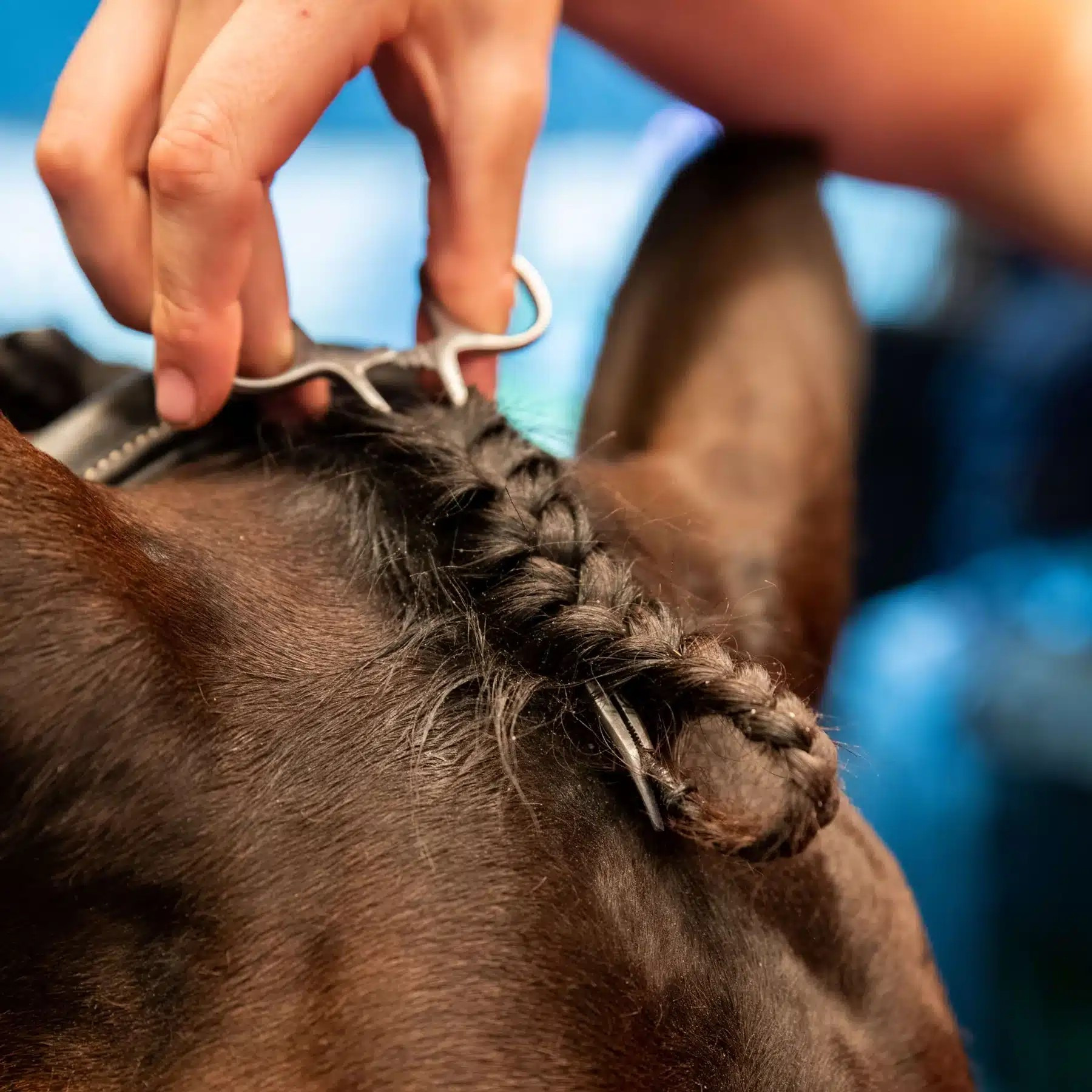 Smart Grooming Schopf-Flechtzange