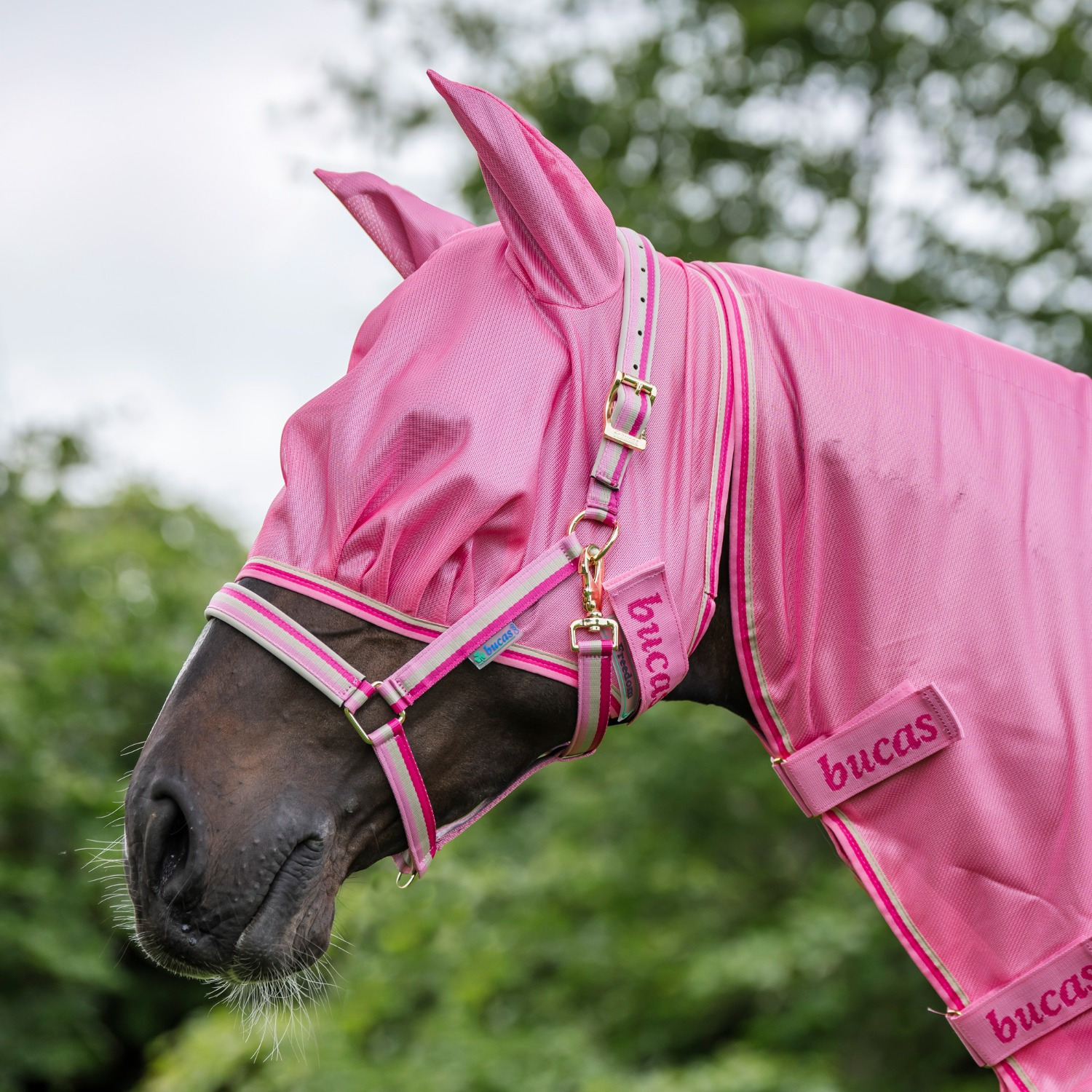 Bucas Freedom Fly Mask