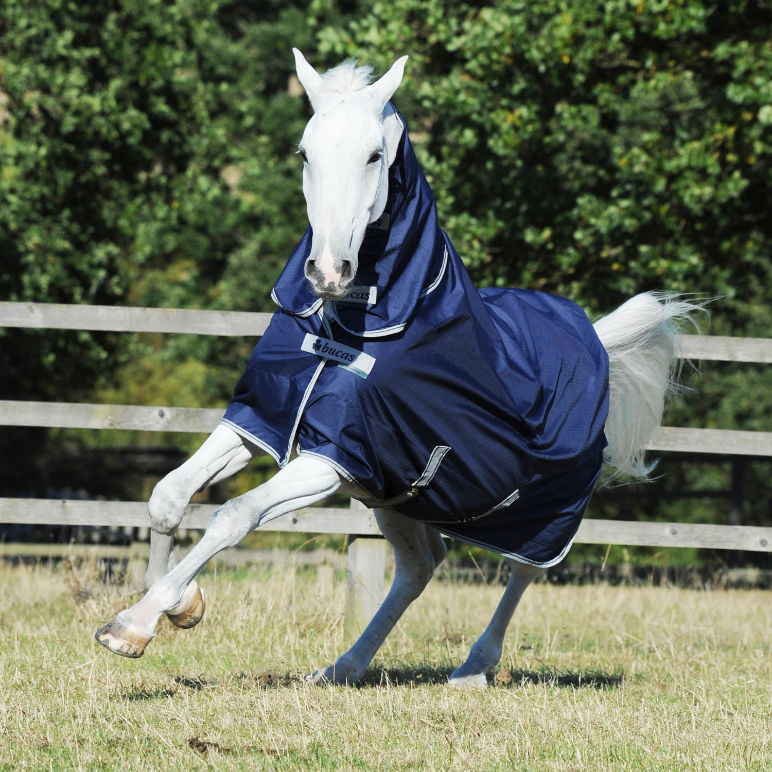 Bucas Freedom Turnout Full Neck