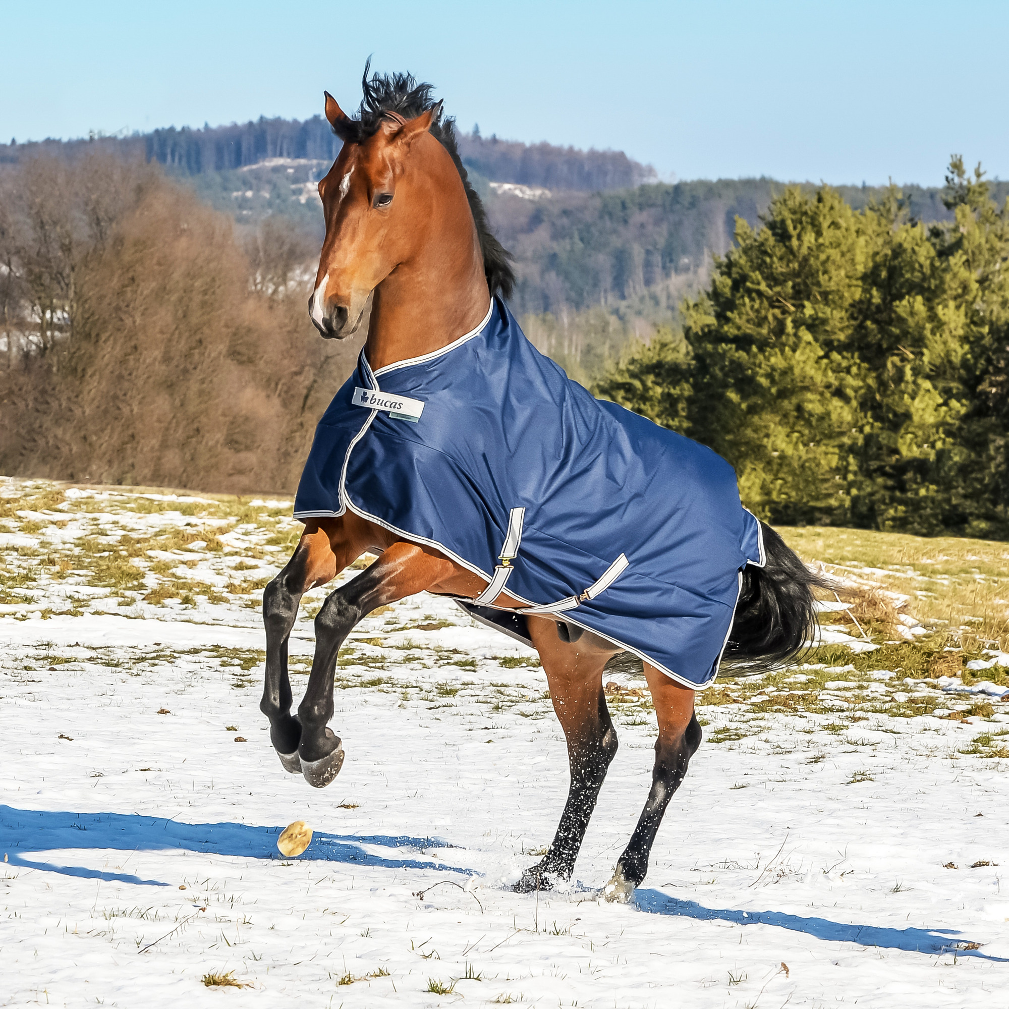 Bucas Freedom Turnout 300g Blauw
