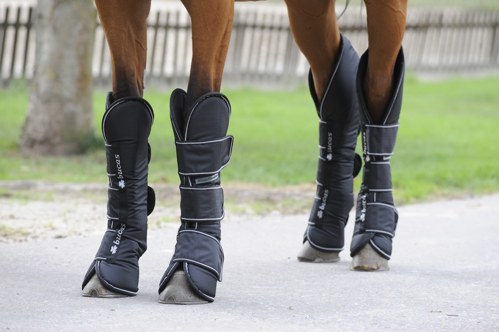 Bucas Freedom Transport Boots