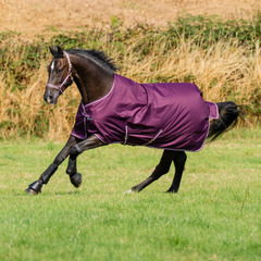 Bucas Freedom Turnout Rauchgrau