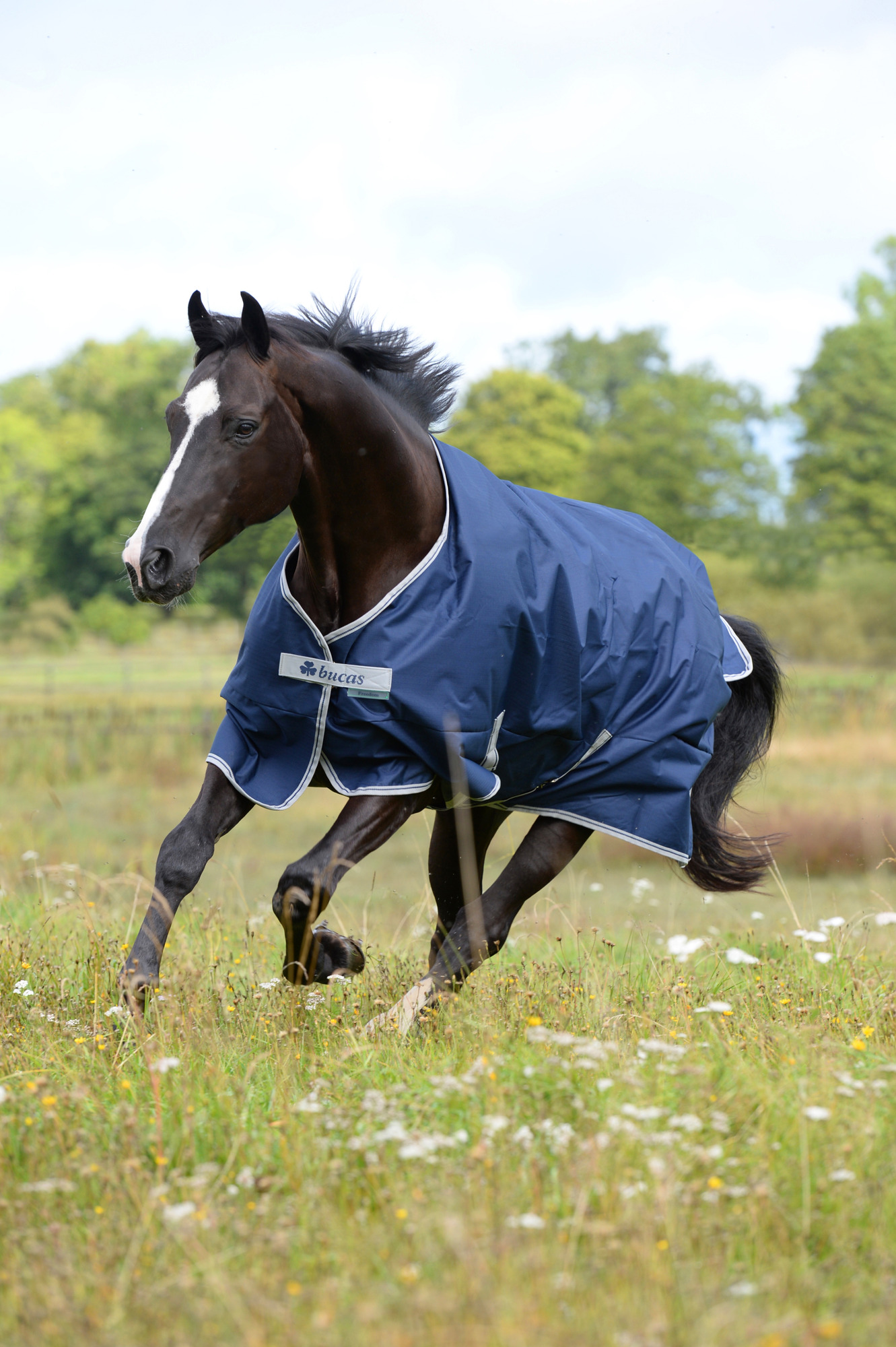 Bucas Freedom Turnout Light Blauw