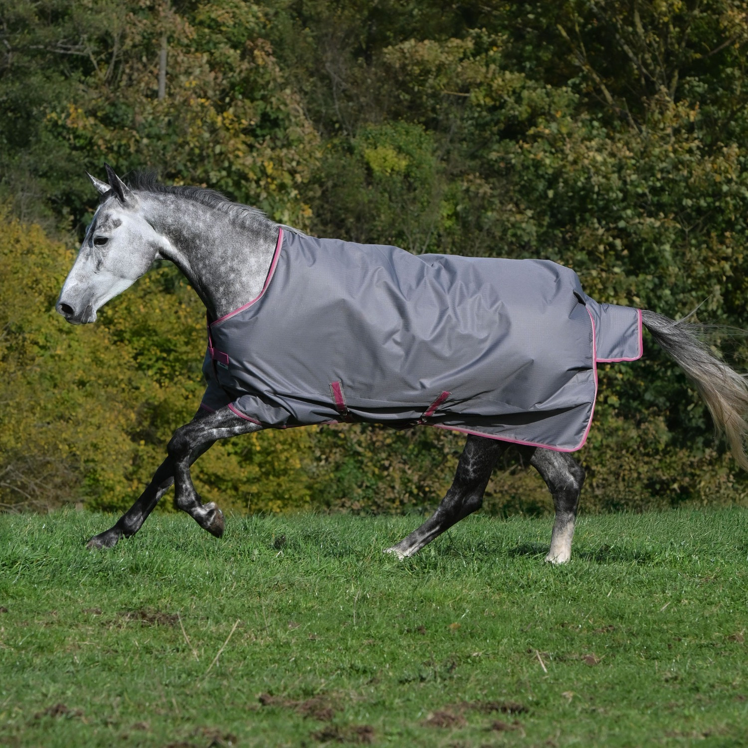Bucas Freedom Turnout Smoke Grey