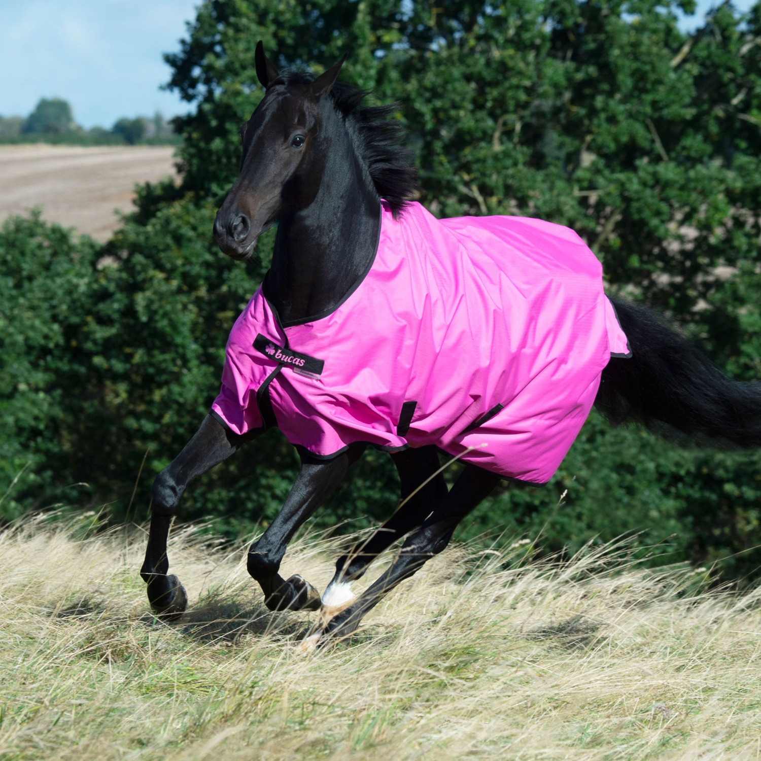 Bucas Freedom Turnout Light Spicy Pink