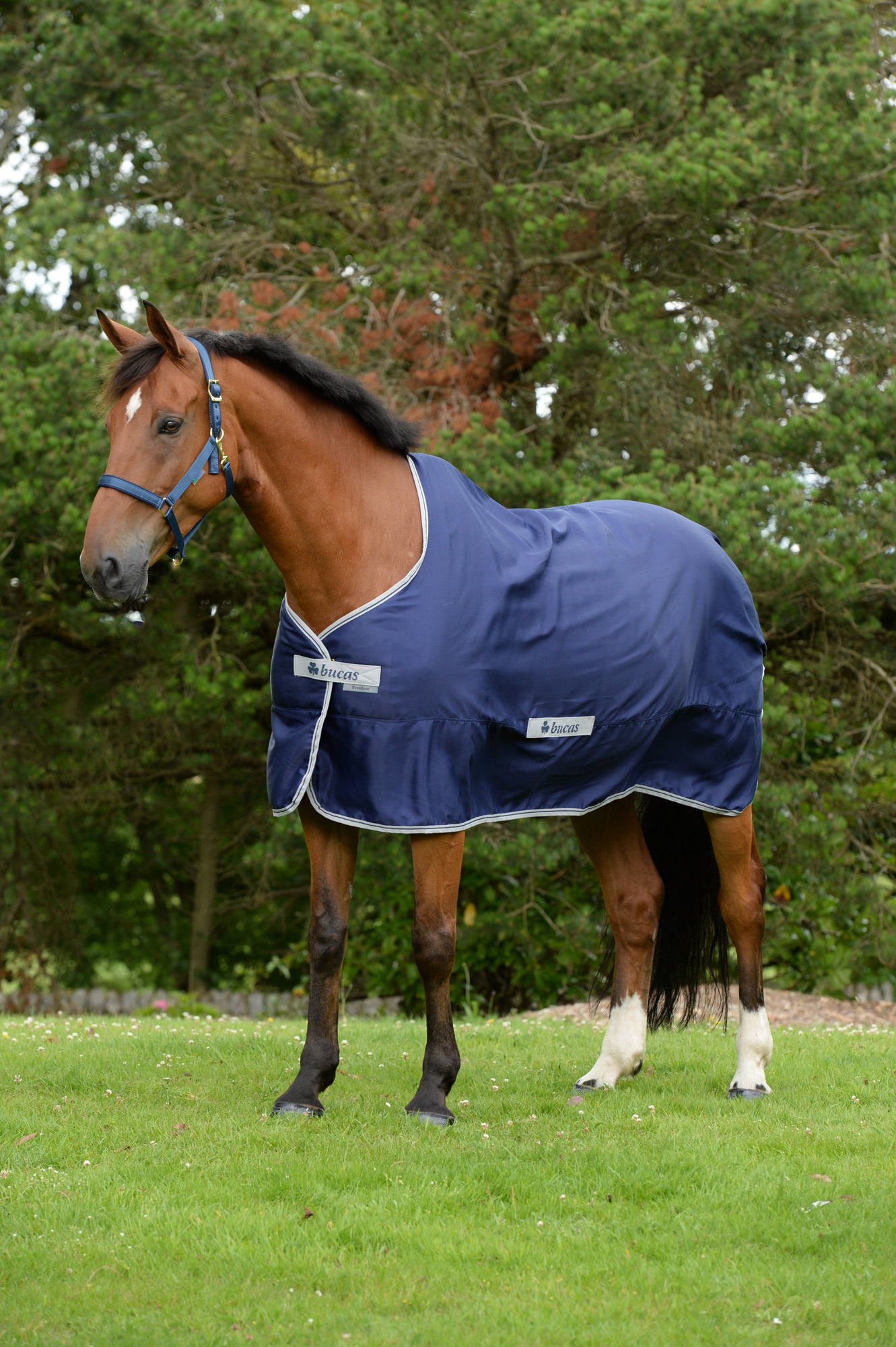 Bucas Freedom Twill Sheet Pony Navy